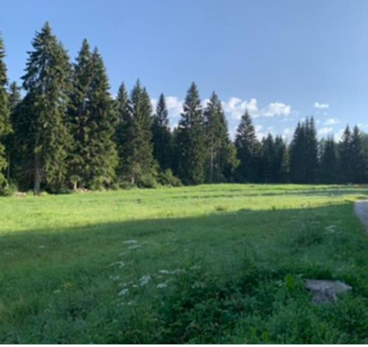 Villa A Casa Delle Bempie Folgaria Esterno foto